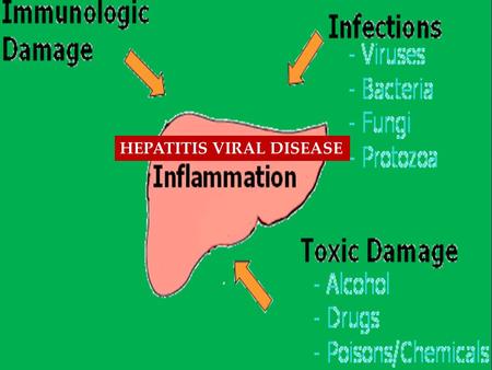 { HEPATITIS VIRAL DISEASE. Alcoholic Hepatitis The inflammation of the liver caused by the long-term heavy intake of alcohol. Symptoms include enlargement.