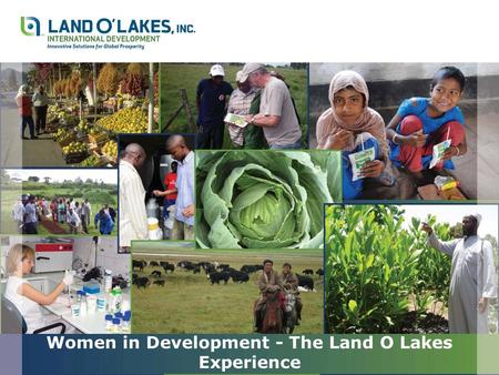 Women in Development - The Land O Lakes Experience.