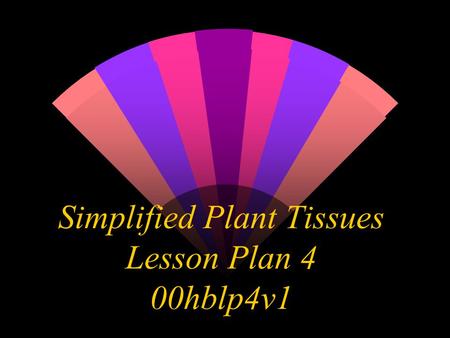 Simplified Plant Tissues Lesson Plan 4 00hblp4v1