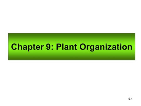 Chapter 9: Plant Organization