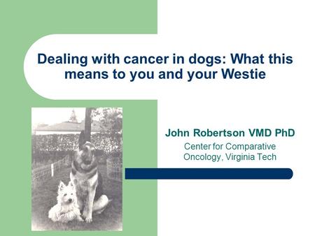 Dealing with cancer in dogs: What this means to you and your Westie John Robertson VMD PhD Center for Comparative Oncology, Virginia Tech.