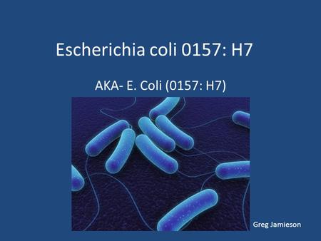 Escherichia coli 0157: H7 AKA- E. Coli (0157: H7) Greg Jamieson.