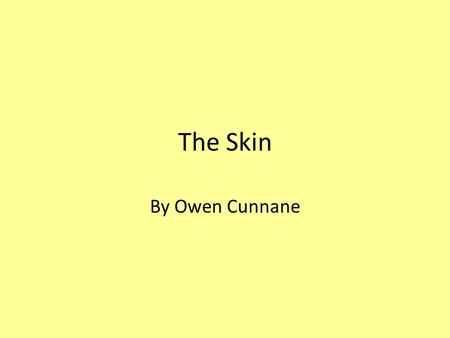 The Skin By Owen Cunnane.