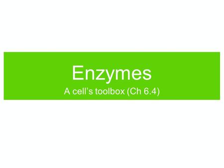 Enzymes A cell’s toolbox (Ch 6.4). Enzymes are: 1.Proteins 2.Carbohydrates 3.Lipids 4.Nucleic acids 5.Depends on the enzyme.