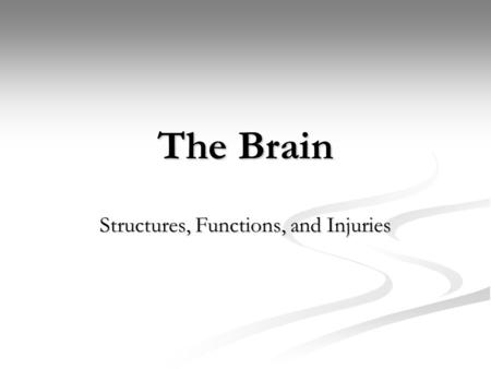 The Brain Structures, Functions, and Injuries. Older Brain Structures: Brainstem The Brainstem is the oldest part of the brain, beginning where the spinal.