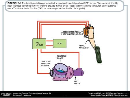 FIGURE 22–1 The throttle pedal is connected to the accelerator pedal position (APP) sensor. The electronic throttle body includes a throttle position sensor.