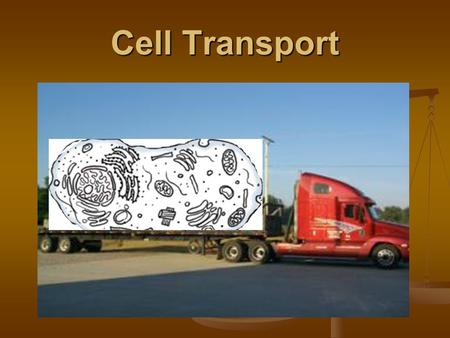 Cell Transport. Ch. 9: Cell Transport Passive Transport Passive Transport Targets Targets Distinguish between diffusion & osmosis Distinguish between.