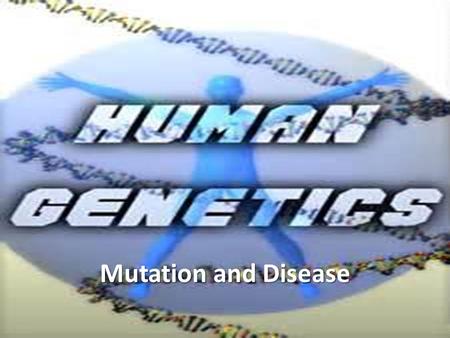Mutation and Disease. Why Study Our DNA? Learn the effects of mutations Understand how genetic diseases are generated Propose possible treatments for.