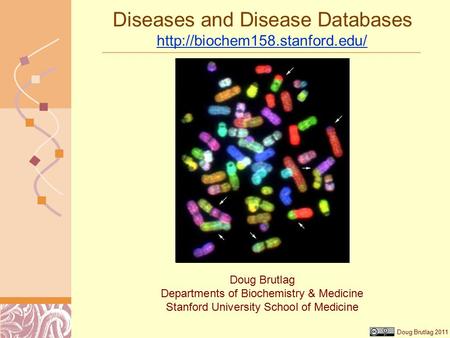 Doug Brutlag 2011 Diseases and Disease Databases   Doug Brutlag Departments of Biochemistry.