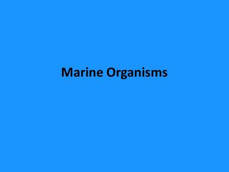 Marine Organisms. Three Categories: Plankton – Usually very small floating organism, either plants or animals, which are at the mercy of the tides winds.
