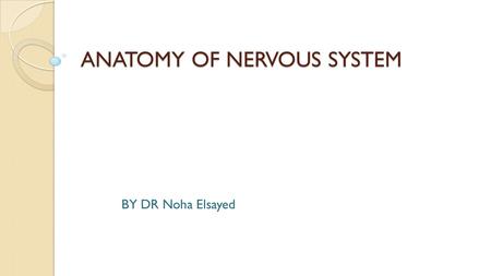 ANATOMY OF NERVOUS SYSTEM BY DR Noha Elsayed. INTRODUCTION DEFINITION The system which controls the sensory and motor functions of the body is called.