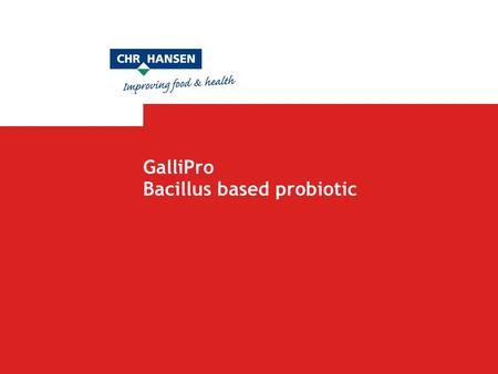 GalliPro Bacillus based probiotic