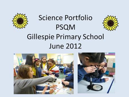 Science Portfolio PSQM Gillespie Primary School June 2012.