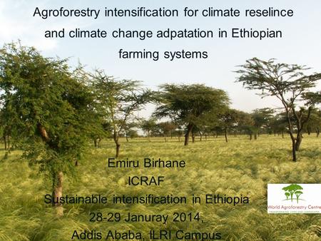 Agroforestry intensification for climate reselince and climate change adpatation in Ethiopian farming systems Emiru Birhane ICRAF Sustainable intensification.