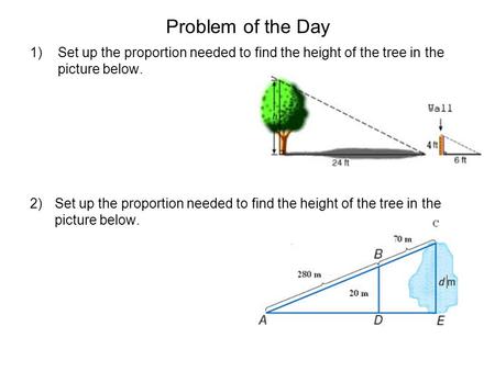 Problem of the Day Set up the proportion needed to find the height of the tree in the picture below.