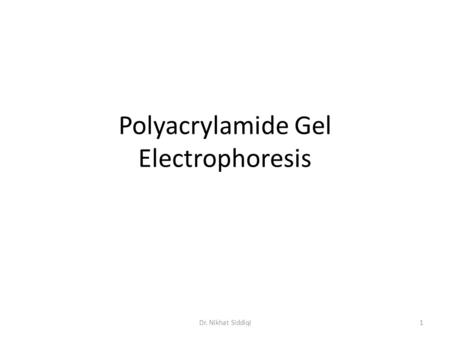 Polyacrylamide Gel Electrophoresis