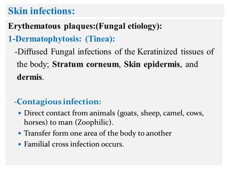 Skin infections: Erythematous plaques:(Fungal etiology): 1-Dermatophytosis: (Tinea): -Diffused Fungal infections of the Keratinized tissues of the body;