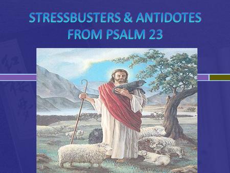  They are all found in Psalm 23.  And the antidotes are also found in Psalm 23.  Psalm 23 is the most beloved psalm of the Bible. And it tells us what.