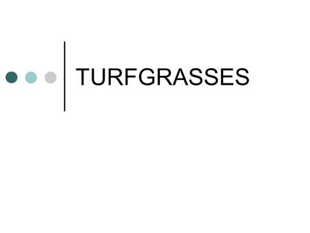 TURFGRASSES. WARM-SEASON TURFGRASS BERMUDAGRASS (Cynodon dactylon)