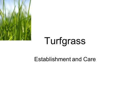 Turfgrass Establishment and Care. Turfgrass can be used for a variety of things Erosion Control Sports Lawns Pasture.