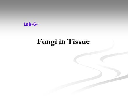 Lab-6- Fungi in Tissue.