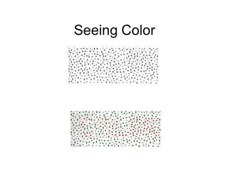 Seeing Color. Visual Spectrum Light varies in intensity and wavelength.