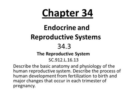 Chapter 34 Endocrine and Reproductive Systems 34.3