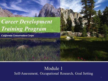 Self-Assessment, Occupational Research, Goal Setting