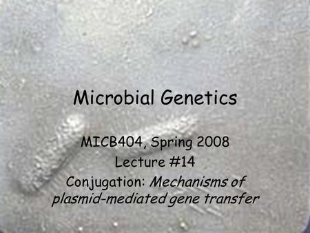 Microbial Genetics MICB404, Spring 2008 Lecture #14 Conjugation: Mechanisms of plasmid-mediated gene transfer.