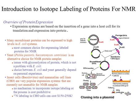 Overview of Protein Expression Expression systems are based on the insertion of a gene into a host cell for its translation and expression into protein.