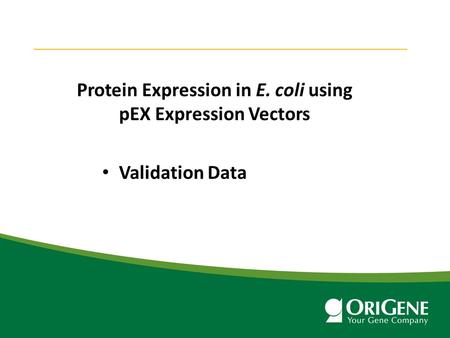 Protein Expression in E. coli using pEX Expression Vectors