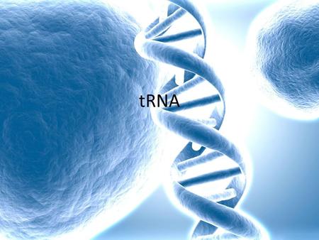 TRNA. Transfer RNA (tRNA) is a small molecule, existing as a single- strand that is folded into a clover-leaf shape.