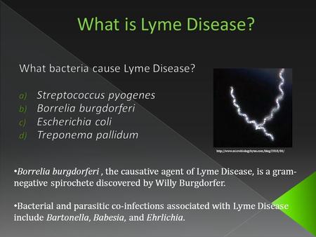 Borrelia burgdorferi, the causative agent of Lyme Disease, is a gram- negative spirochete discovered by Willy Burgdorfer. Bacterial and parasitic co-infections.