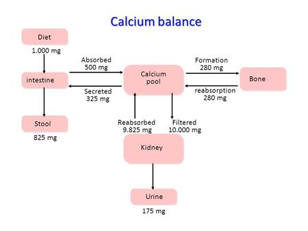 Diet intestine Stool Calcium pool Kidney Urine Bone 1.000 mg 825 mg Absorbed 500 mg Secreted 325 mg Formation 280 mg reabsorption 280 mg Reabsorbed 9.825.