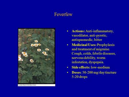 Feverfew Actions: Anti-inflammatory, vasodilator, anti-pyretic, antispasmodic, bitter Medicinal Uses: Prophylaxis and treatment of migraine. Cough, colds,