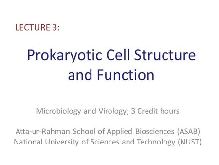Prokaryotic Cell Structure and Function