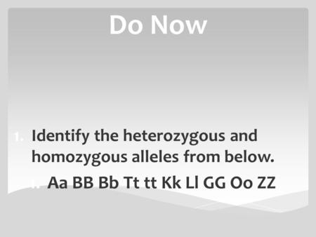 Do Now 1.Identify the heterozygous and homozygous alleles from below. 1.Aa BB Bb Tt tt Kk Ll GG Oo ZZ.