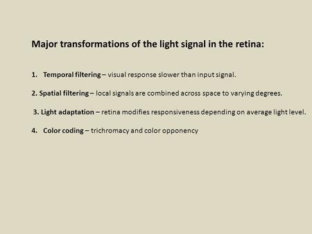 Major transformations of the light signal in the retina: 1.Temporal filtering – visual response slower than input signal. 2. Spatial filtering – local.