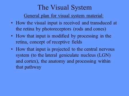 The Visual System General plan for visual system material: How the visual input is received and transduced at the retina by photoreceptors (rods and cones)