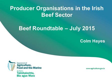 Producer Organisations in the Irish Beef Sector Beef Roundtable – July 2015 Colm Hayes.