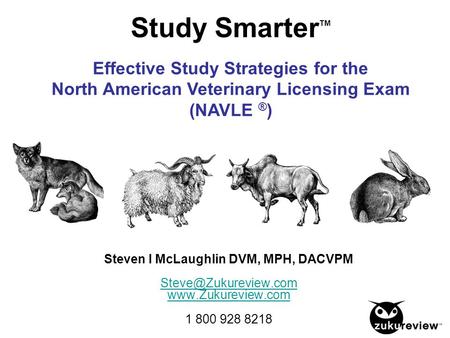 Study SmarterTM Effective Study Strategies for the North American Veterinary Licensing Exam (NAVLE ®) Steven I McLaughlin DVM, MPH, DACVPM Steve@Zukureview.com.