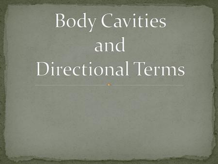 Body Cavities and Directional Terms