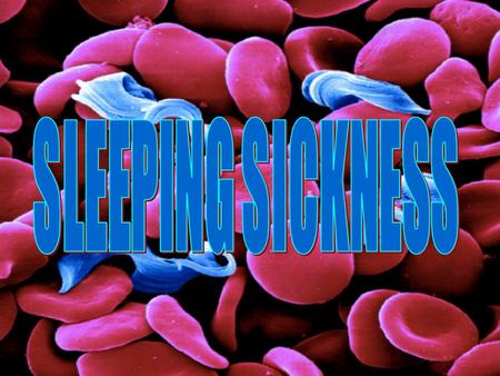 WHAT IS? SLEEPING SICKNESS IS A PARASITIC DISEASE OF PEOPLE AND ANIMALS, CAUSED BY PROTOZOA OF THE SPECIES TRYPANOSOMA BRUCEI AND TRANSMITTED BU THE TSETSE.