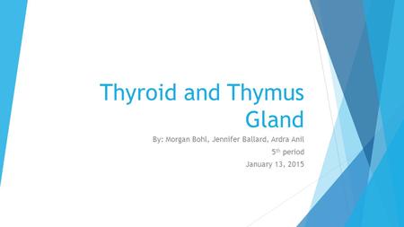 Thyroid and Thymus Gland