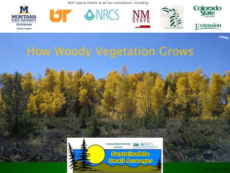 UNCE, Reno, Nev. How Woody Vegetation Grows With special thanks to all our contributors including: