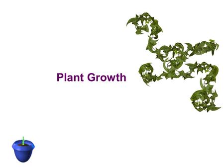 Plant Growth.