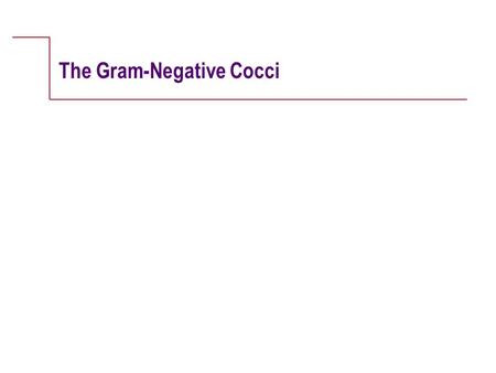 The Gram-Negative Cocci. W.B. Saunders Company items and derived items copyright © 2001 by W.B. Saunders Company. Case Study uA 20-year-old female college.