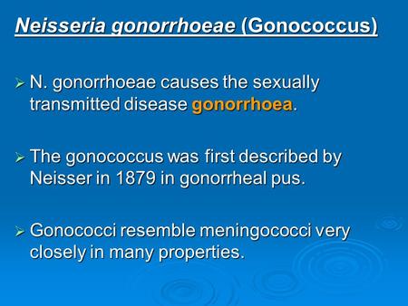 Neisseria gonorrhoeae (Gonococcus)  N. gonorrhoeae causes the sexually transmitted disease gonorrhoea.  The gonococcus was first described by Neisser.