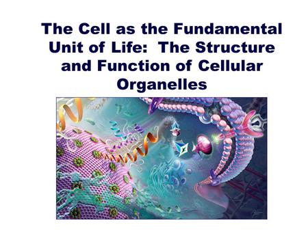 Cell Theory The cell is the smallest unit of life. All organisms are composed one or more cells. New cells arise from previously existing cells.