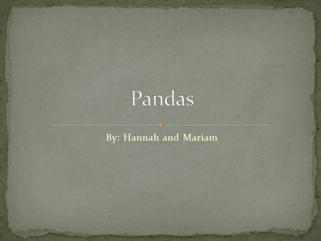 By: Hannah and Mariam. IntroductionPage 1 Where do pandas live?Page 2 CubsPage 3 What do pandas eat? Page 4 Predators? Page 5 How do pandas adapt to their.